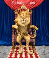 загруженное (24).webp