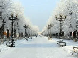 загруженное.webp