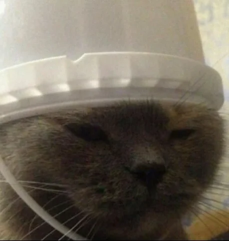 загружено (1).jpg