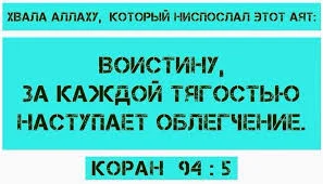 загружено (1).webp