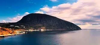 загружено (1).webp