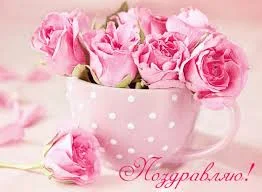 загружено (5).webp