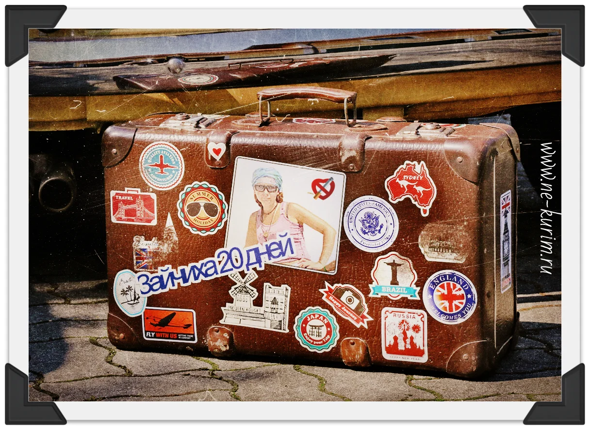 зайчиха 20.webp