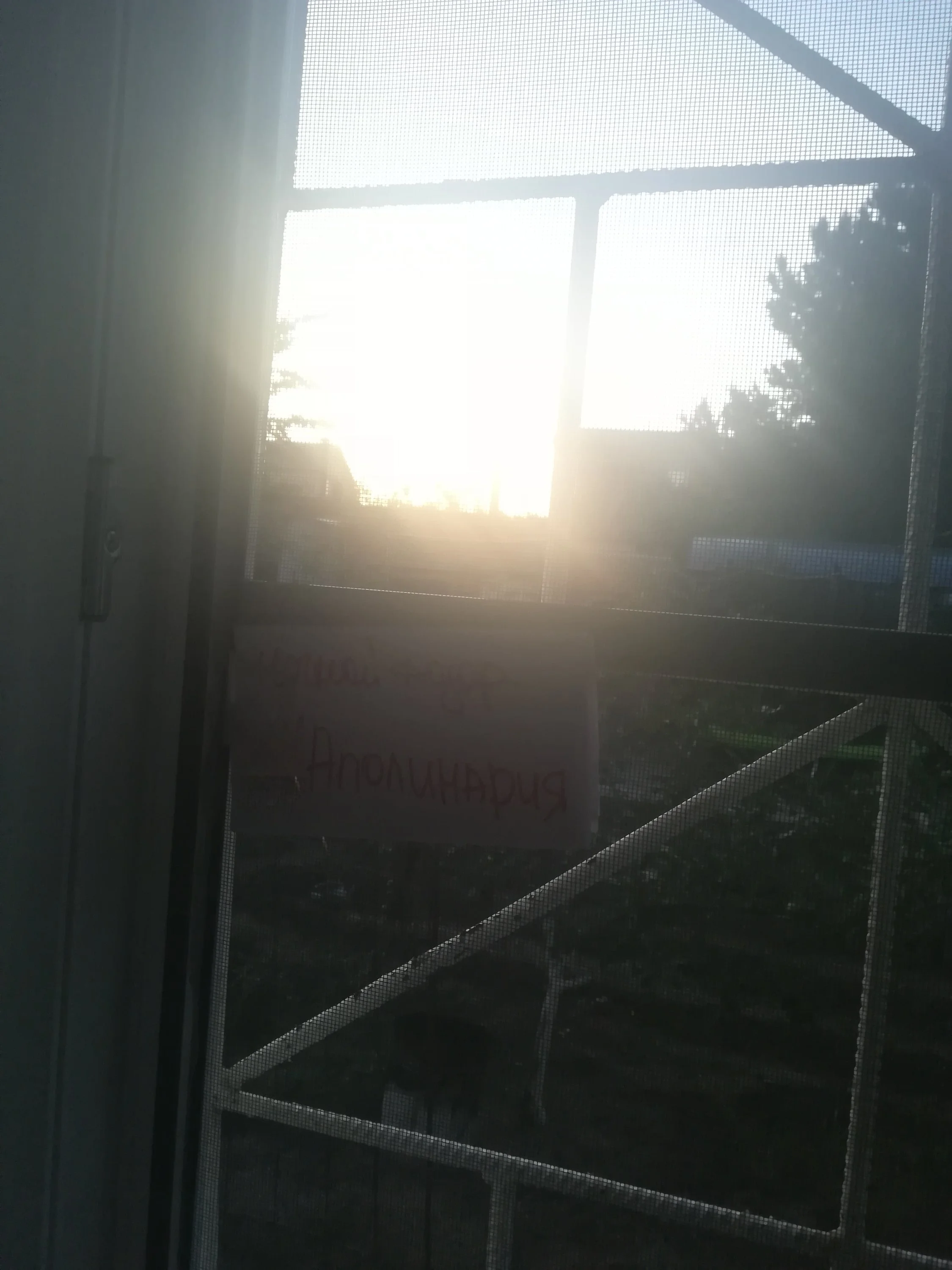 закат мой.webp