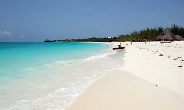zanzibar-beach.webp