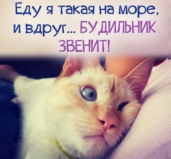 zBZ79XIUV3A.webp