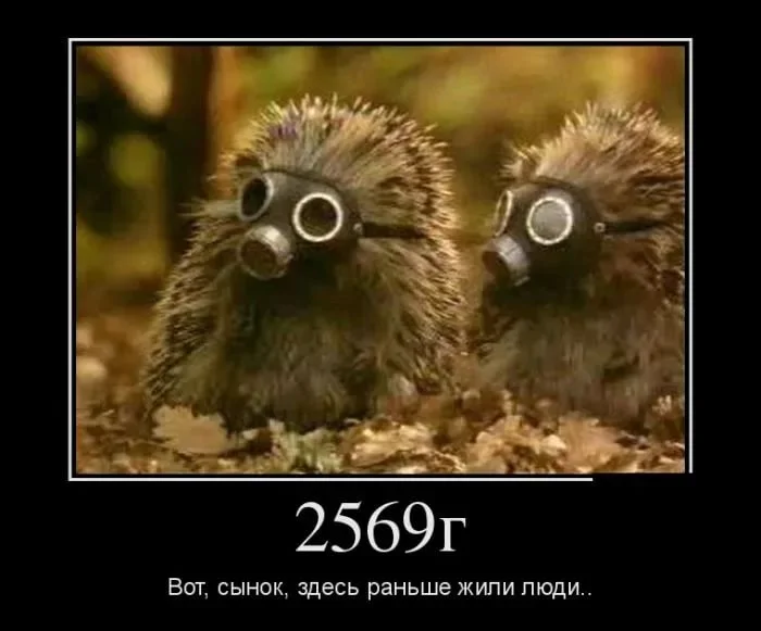 здесь раньше жили люди.webp