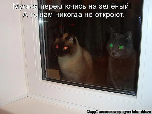 зеленый.webp