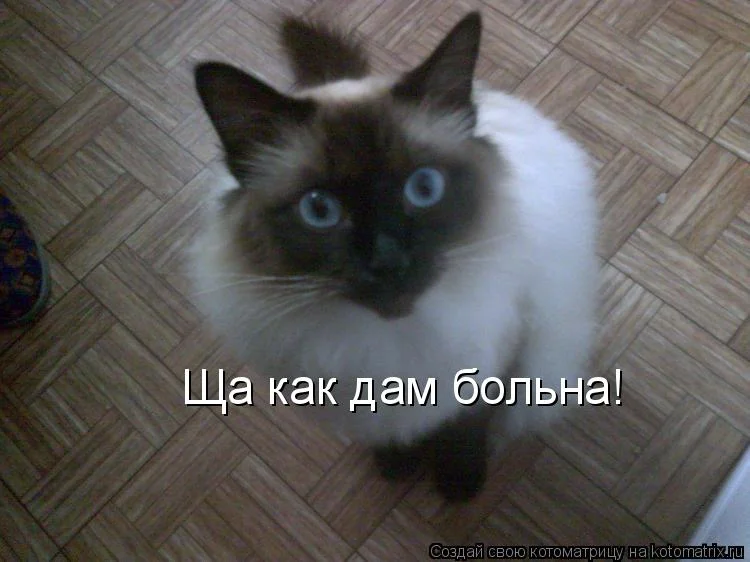 zF.webp