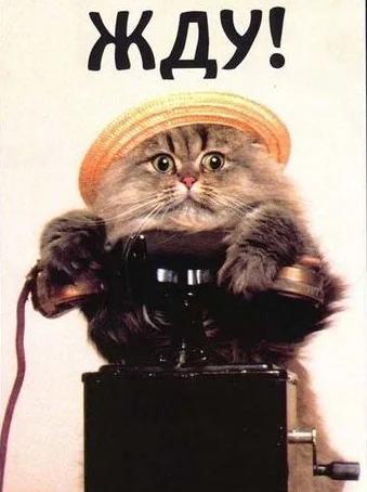 жду очень.webp