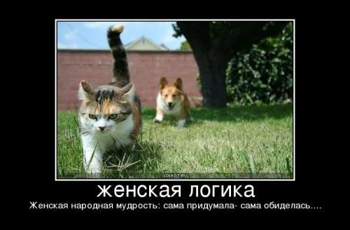 zhenskaya-logika_1267800874.webp