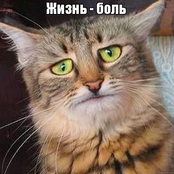 жизнь боль.webp