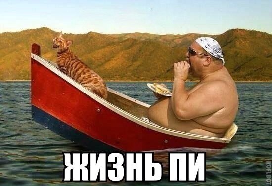 Жизнь ПИ.jpg