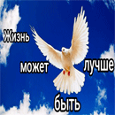 Жмбл3.png