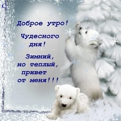 зимний.webp