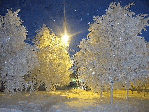 Зимняя сказка.gif