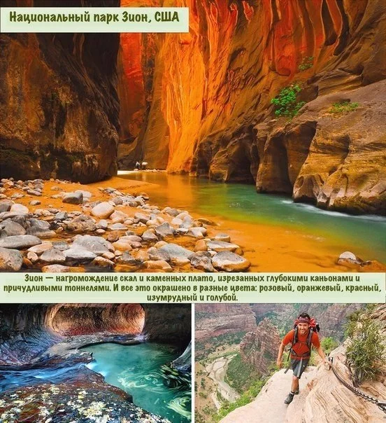 Зион США.webp