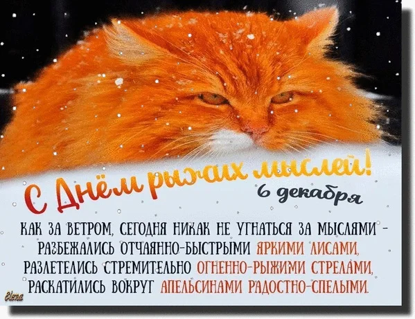 zKVUmMKT97g (1).webp