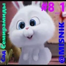 злая зая.webp