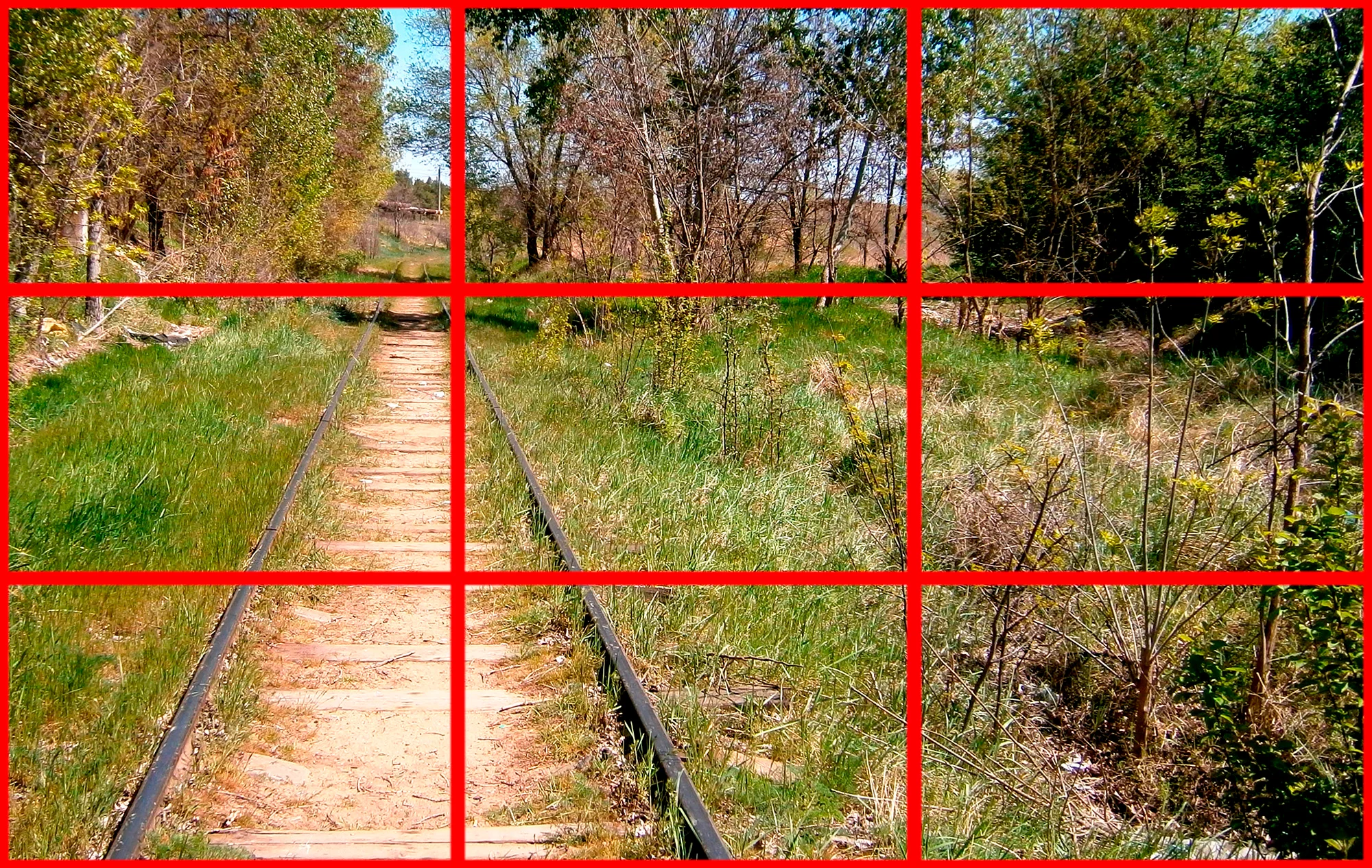 золотое сечение 3_1.webp