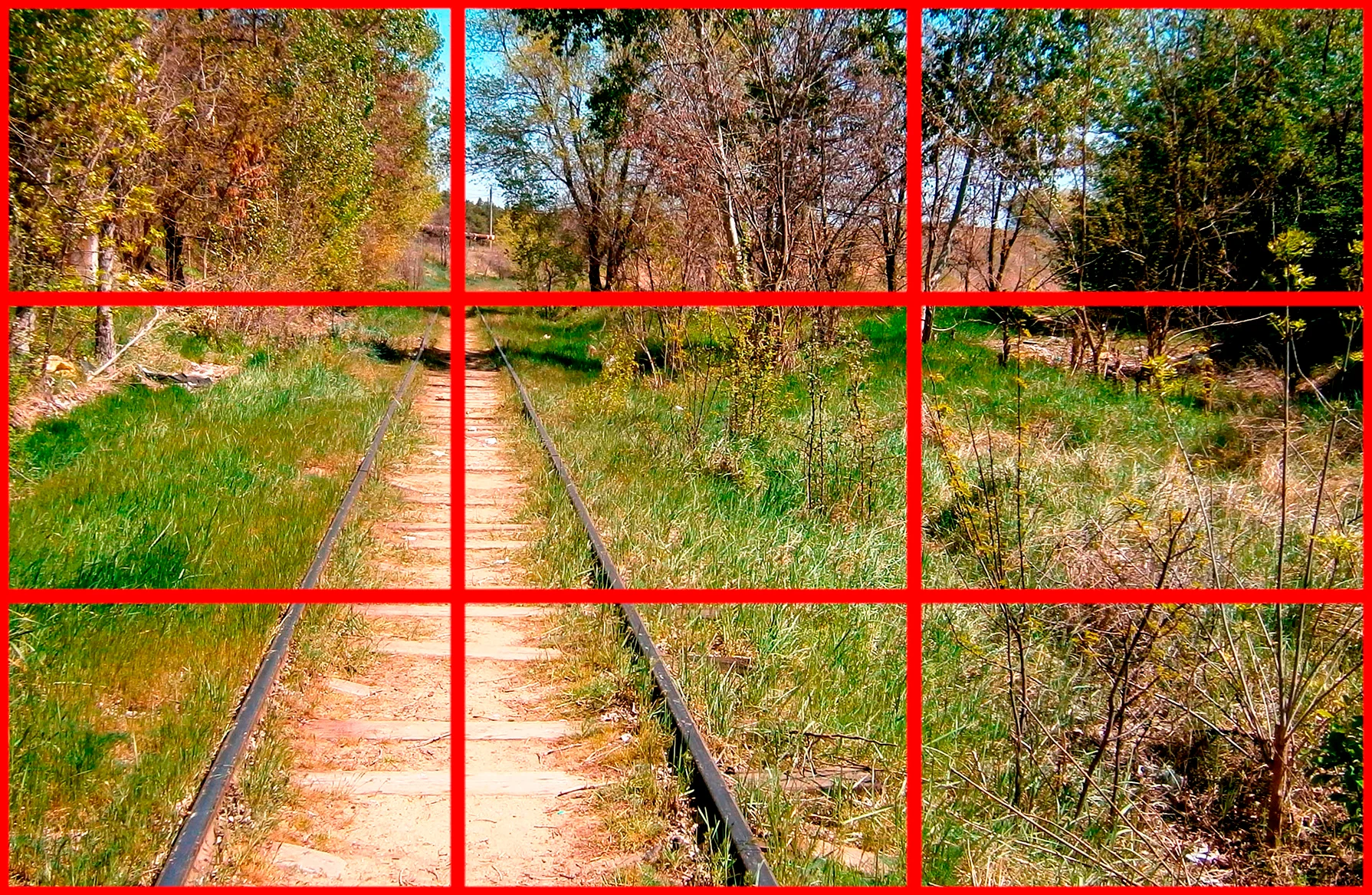 золотое сечение 3_2.webp