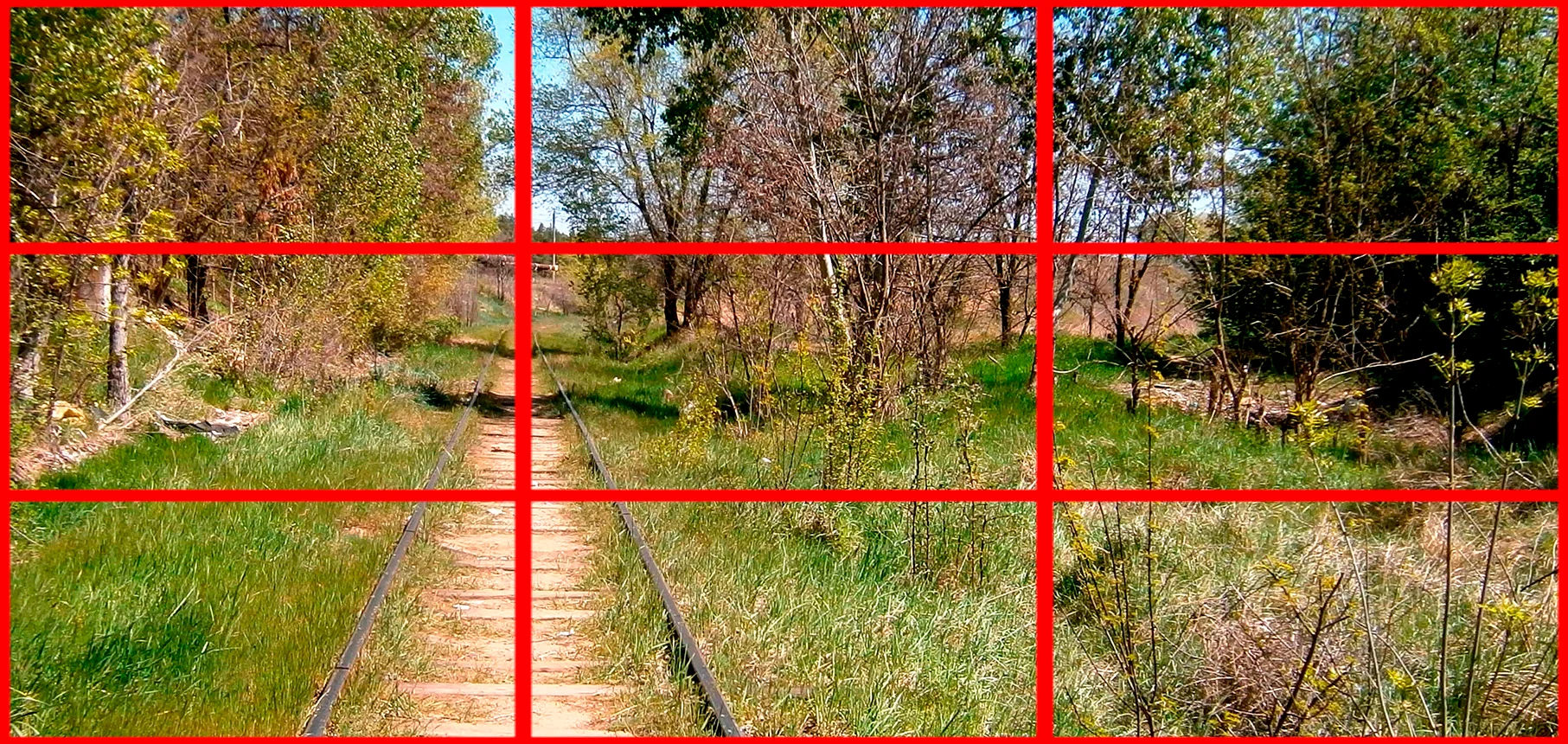 золотое сечение 3_3.webp