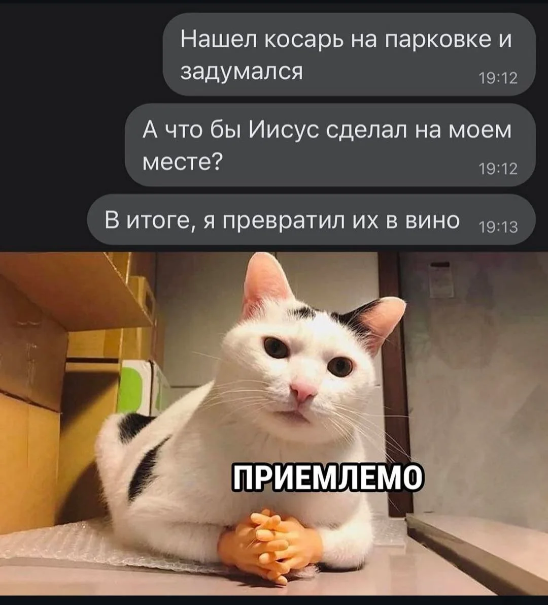 zox2xzql_lg.webp