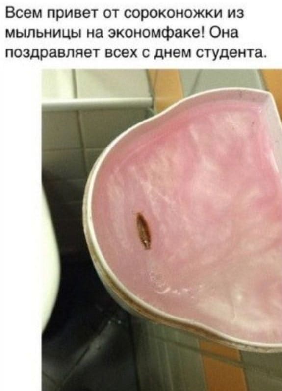ZPZcb8lXocY.jpg