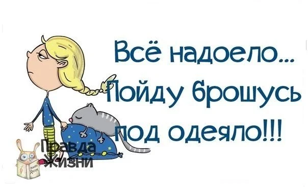 ZUcC278QXRQ.webp