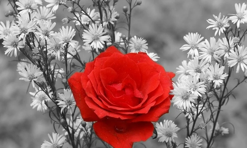 zwalls.ru-34126.webp