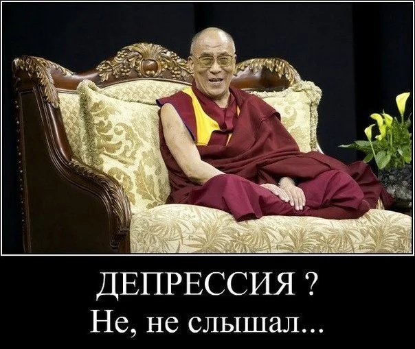 zWGPyWVtviY (1).webp