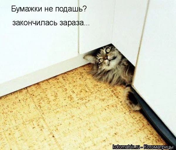 ZWifHdi8m7Y.webp