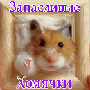 ЗХ1.png