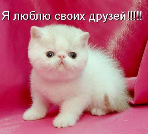 зхъэ.webp