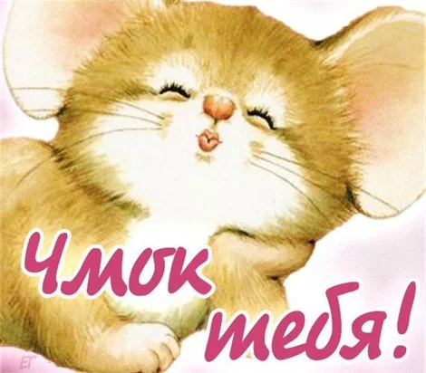 ZYt4M.webp