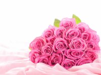 1362206678_1335383002_nature_flowers_pink_roses_033534_.jpg