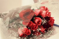 113379__roses_p.jpg