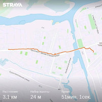 strava987342282.jpg