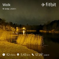 fitbitshare_1505816298.JPEG