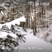 fitbitshare_25186601.JPEG