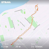 strava1186918052.jpg