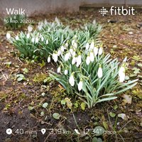 fitbitshare_790657879.JPEG