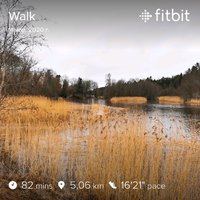 fitbitshare_1242068410.JPEG