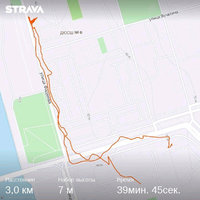 strava1186564935.jpg