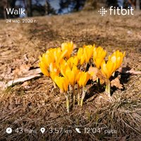 fitbitshare_213591789.JPEG