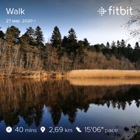 fitbitshare_453285735.JPEG