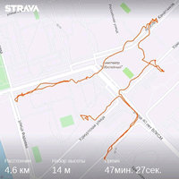 strava1989112323.jpg