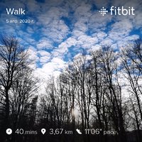 fitbitshare_1260658079.JPEG