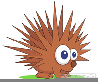 porcupine-clipart-5.png