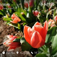 fitbitshare_1613791881.JPEG